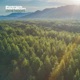 Lost in Thoughts Single