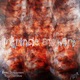 Intrinsic Answers Single