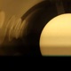 Illusion Single
