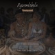 Percussionist 9 Ngizomlobola feat Mpho Spizzy Quinton Deep Zwane Single