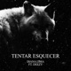 Tentar Esquecer feat Deezy Single