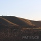 Patience Single