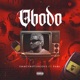 Obodo Extended Version feat Pami Single