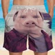 John Pork Shorts Acoustic Single