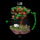 Florescimento Single