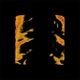 Envy Single