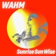 Sunrise Sun Wise Single