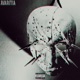 AVARITIA Single