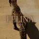 Felina Single