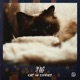 cat in civvies Single