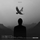 In the Dark Chris Luno Remix Single