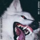 Don t Test the Dawgs Single