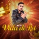 Vida de Rei Single