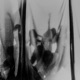 Bipolar Disorder EP