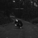 Lost Time Single