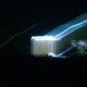 Slow Laser Quaraw Remix Single