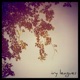 Summer Sessions EP