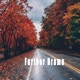 Further Drama EP