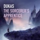 The Sorcerer s Apprentice