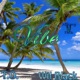 Vibe Single