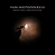 Angry Bird Underground Single