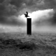 Monolith Single