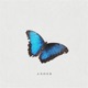 Butterfly Effect Single