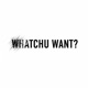 WHATCHU WANT Single