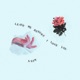 Leave Me Before I Love You Single