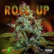 Roll Up Single
