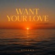 Want Your Love Single