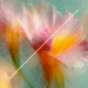 Let the Magic Flow Single