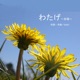 わたげ 合唱 EP