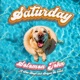 Saturday feat Don Bunji Brogan the Band Single