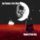 Under a Pale Sky feat Jan Tenner Single