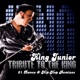 A Tribute to The King Remix Elvis Presley classics for Kidz Adults to Bop Dance to Club Remixes