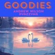 Goodies feat Pyazzyna Single