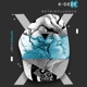 Retrinfluence Single