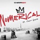 Numerical feat Ponzo Houdini Single
