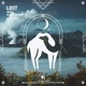 Lost Single