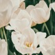 You re a Flower Single
