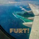 Furt Single