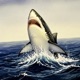 Nostalgic Shark Single