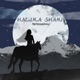 Меридианы feat SHAMI Single
