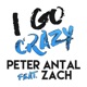 I Go Crazy feat Zach Single