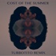 Cost of the Summer Single