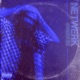 Netwerk Single