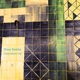 Dizzy Samba Single