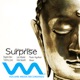 Surprise Remixes