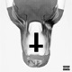 EARBLEED feat Drxco Single